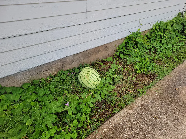 Townsend Dr — Photo 18