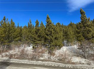 691 Alice Rd, Idaho Springs, CO 80452