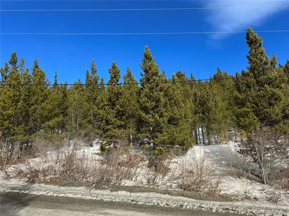 691 Alice Road, Idaho Springs, CO 80452
