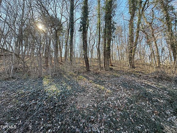 3rd image of Lots 1 4 Bishop Hollow Rd