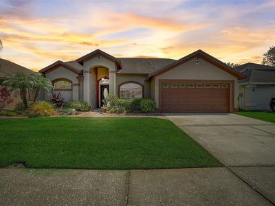 13403 Ironton Dr, Tampa, FL, 33626