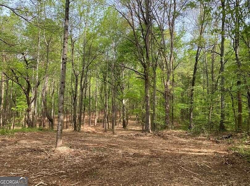 389 Owens Store Rd, Canton, GA 30115 MLS 10227128 Zillow