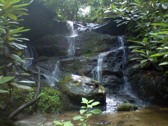 waterfall on the property