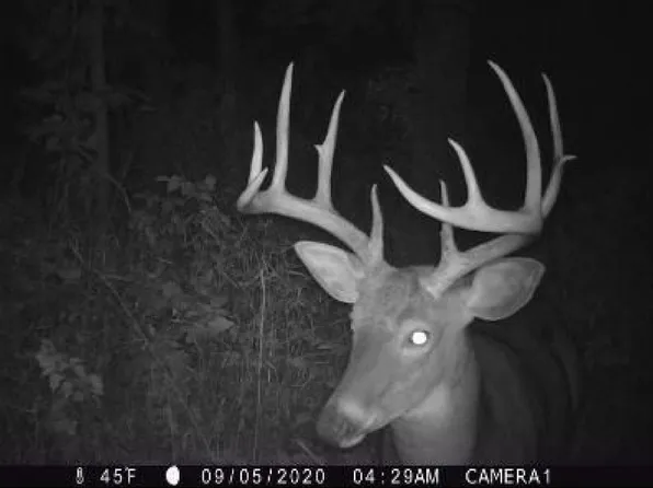 37.75 Ac Highway 130, Hillpoint, WI 53937