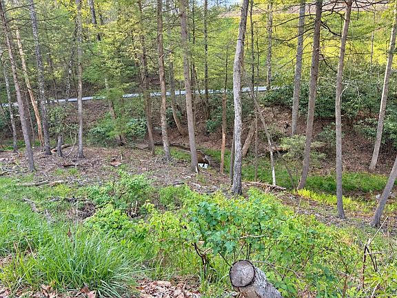 3rd image of Bowers Ridge Rd
