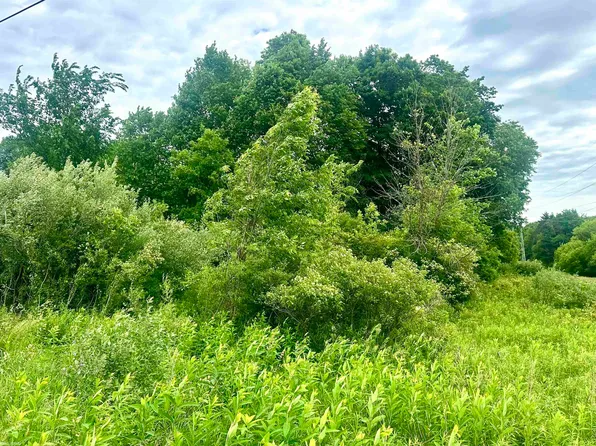 Braidwood Rd Parcel 5, Memphis, MI 48041