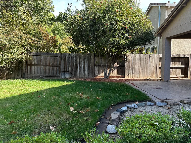 10037 Wild Orchid Way — Photo 34