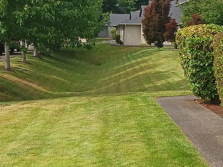 Noble Court Estates — Photo 3