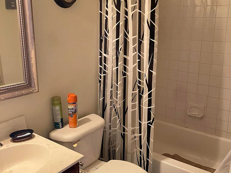 3517 Briel St #3 — Photo 3