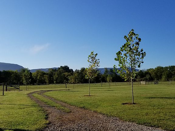 drive from barn/tree lined