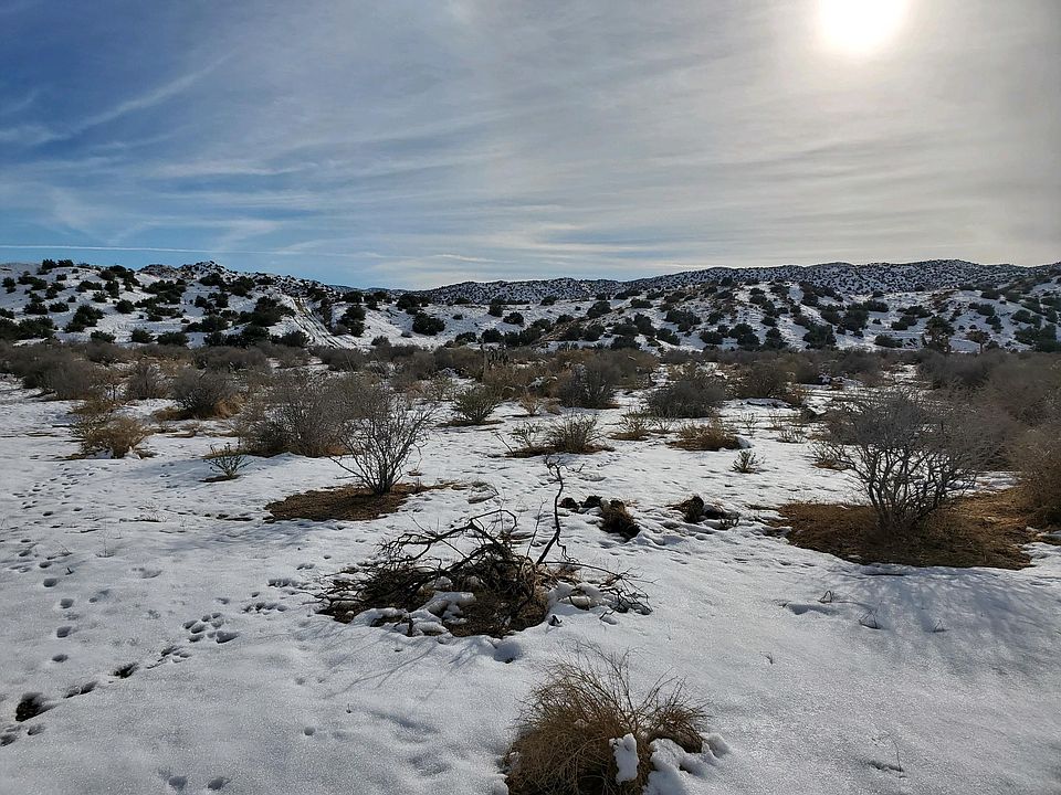 2nd image of 2945 Tumbleweed Trl