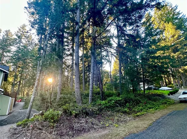 10510 Olympic Place, Anderson Island, WA 98303