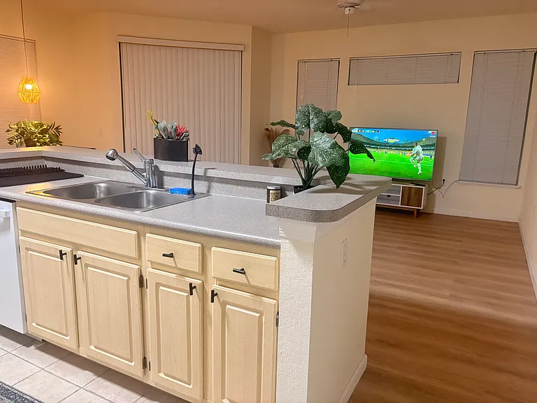 1125 Lake Shadow Cir #5201 — Photo 4