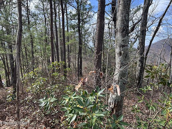 4th image of 0 Chestnut Ridge Ct Lot 10-11