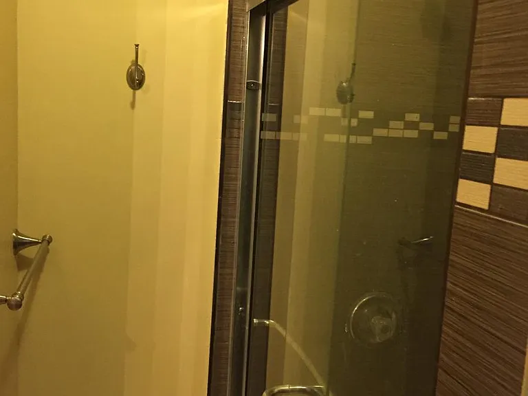 Glass slide shower door