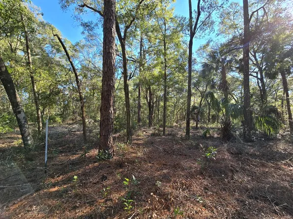 TBD NW 56th Ln, Chiefland, FL 32626