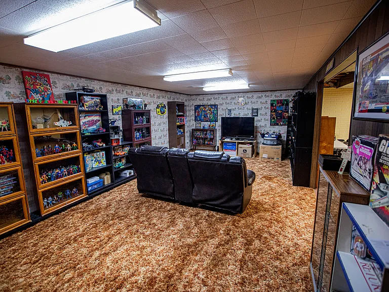 Basement Family Room