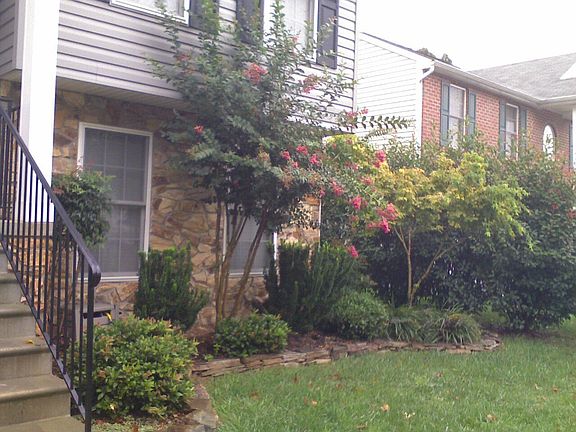 Manicured Landscaping
