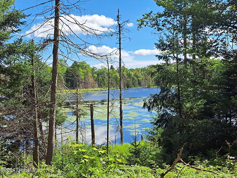 5th image of 231 Mud Pond Road