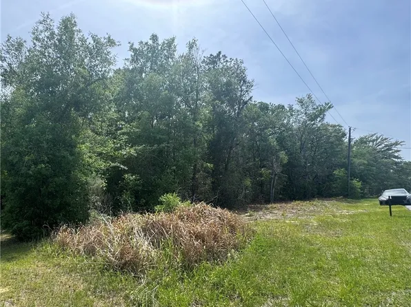2493 W Magenta Dr, Citrus Springs, FL 34434