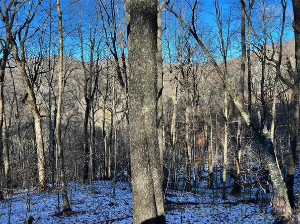 0 El Miner Dr #551, Mars Hill, NC 28754