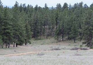 1st image of 61 Wildhorse Subdivision
