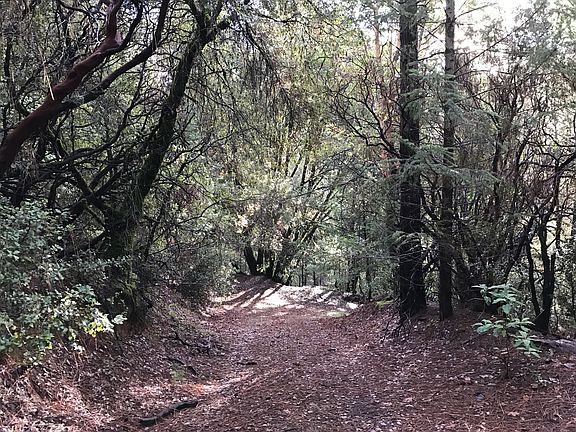 4th image of 4055 Iowa Hill Rd