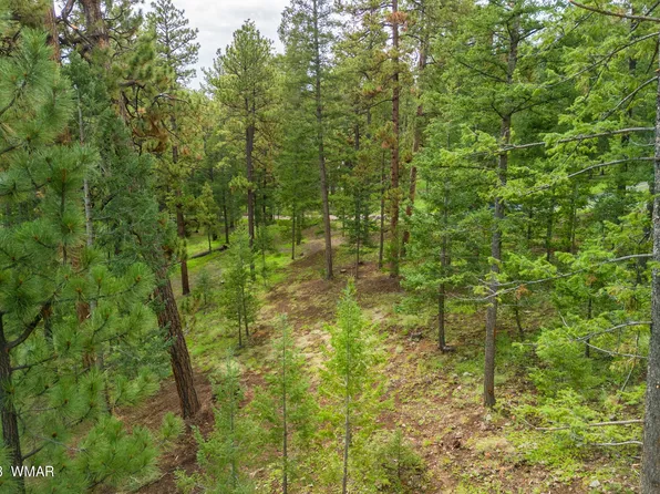 29 N 1068th, Greer, AZ 85927