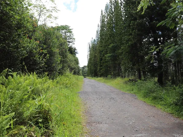 17-4531 South Rd, Kurtistown, HI 96760