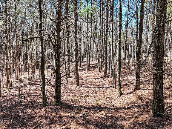 5th image of 0 Slow Time St