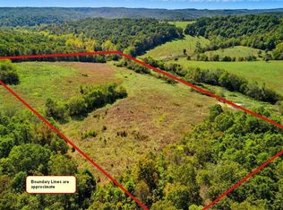 3850 Private Drive 3220, Ava, MO 65608