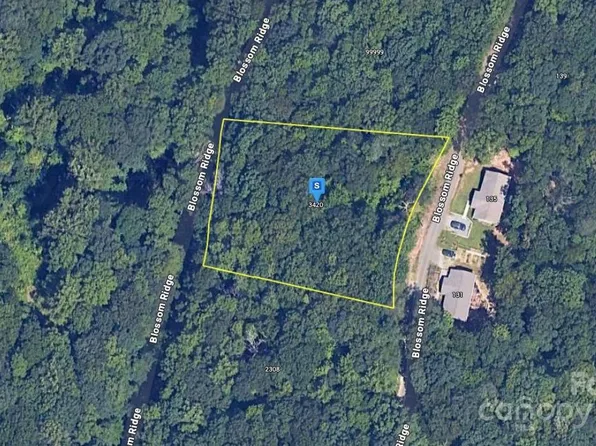 128 Blossom Rdg, Leicester, NC 28748