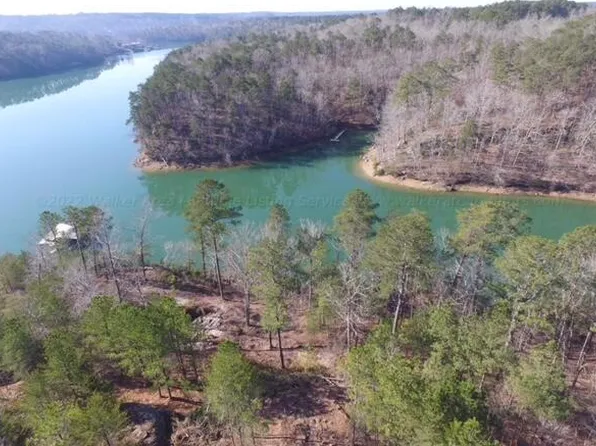 Blue Bird Cir, Double Springs, AL 35553