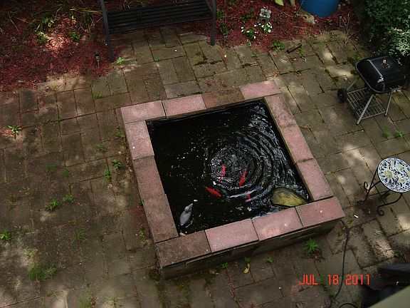 Pond on patio
