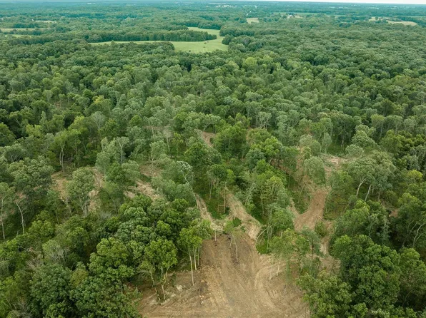 0 County Road 1117 Tract 21, Madison, MO 65263