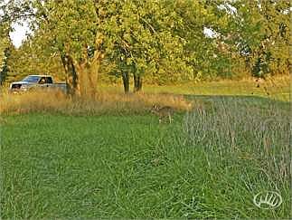 1st image of 9501 County Road 1064