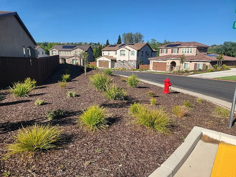 3035 Salt Wash Way — Photo 4