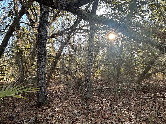 3rd image of Xx Lake McKenzie Rd