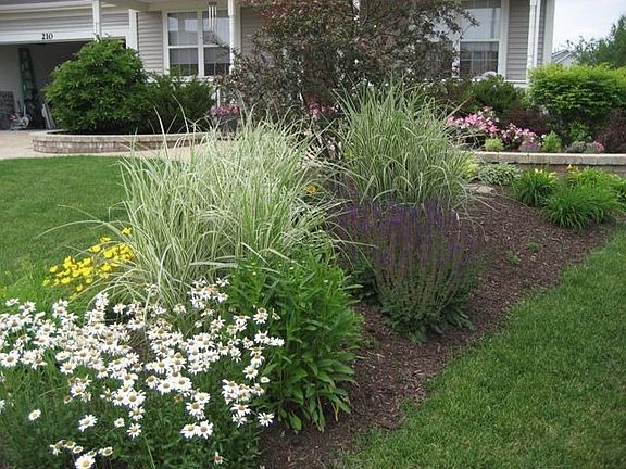 Front yard perennials