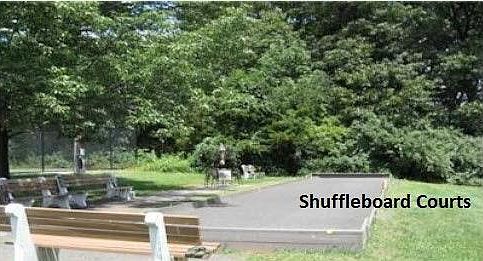 Shuffleboard Courts
