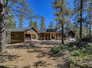 246 E Log Hill Rd, Pagosa Springs, CO 81147