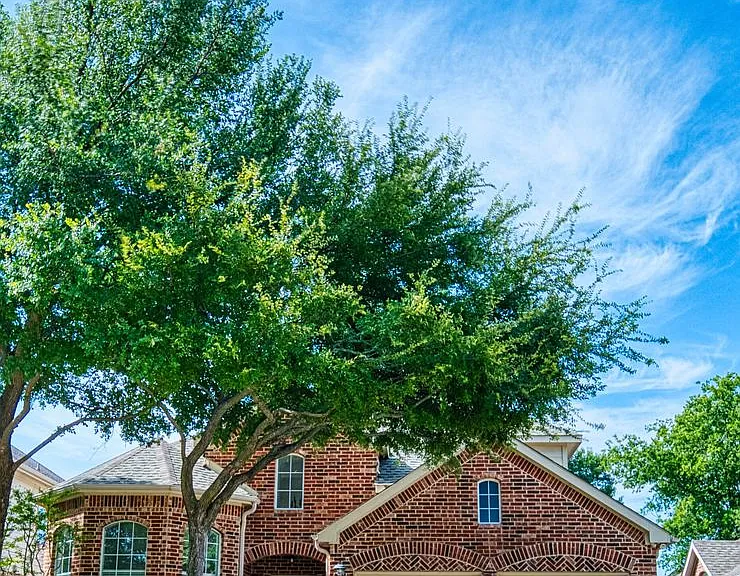 5513 Amber Way — Photo 59