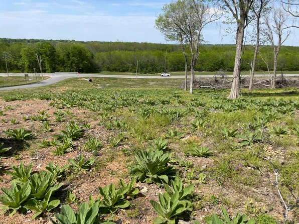 Baycrest Dr, Grove, OK 74344