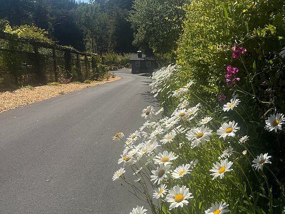 Drive into the property