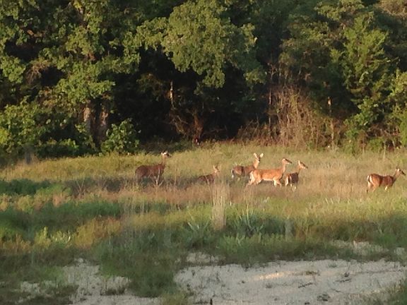 5th image of 10301 Drop Tine Ct