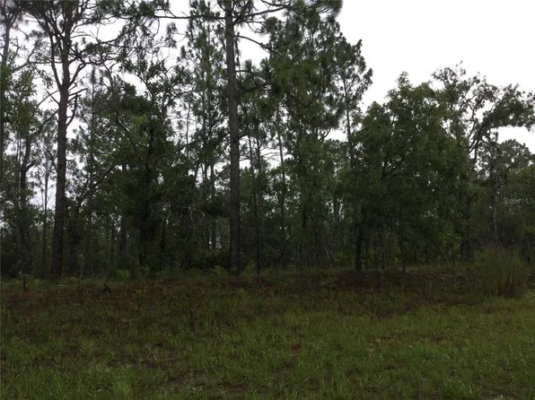 2191 W Citrus Springs Blvd #18, Dunnellon, FL 34434