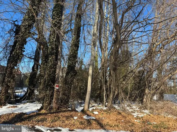 0 Lawshe Dr, Pine Beach, NJ 08741