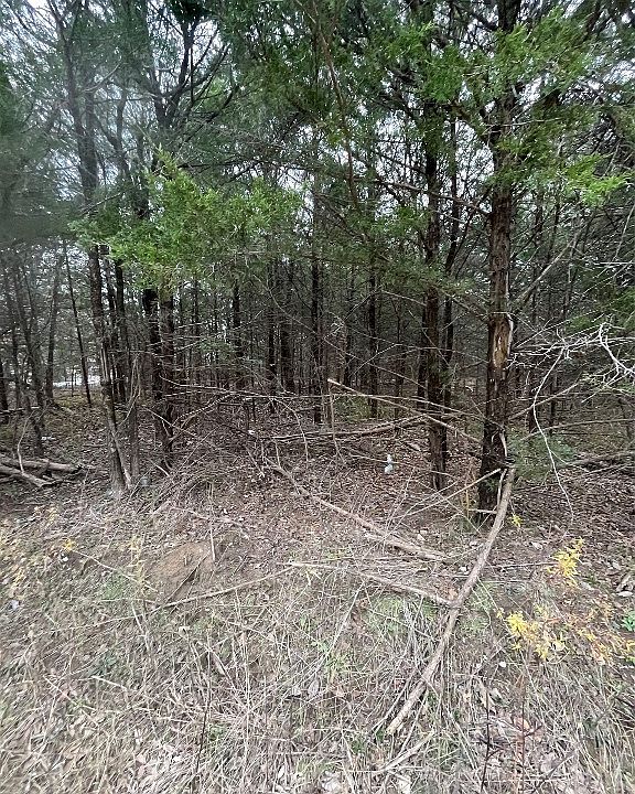 1st image of 0 Private Road 2333