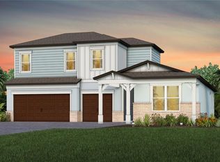 6888 Gilly Shadow St, Wesley Chapel, FL 33545