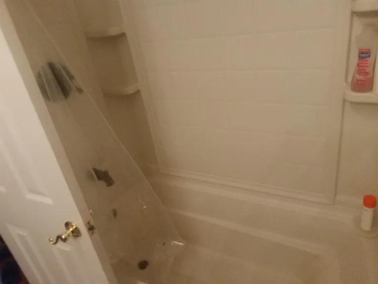 Main bathroom shower and tub